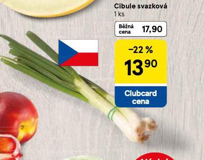 CIBULE SVAZKOV