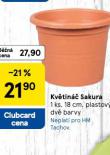 KVTIN SAKURA
