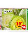 LEDOV SALT