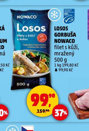 LOSOS GORBUA NOWACO
