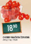 CHERRY RAJATA ERVEN