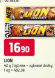 LION TYINKA