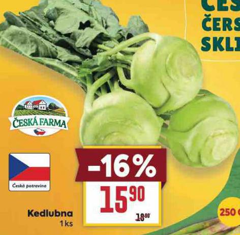 KEDLUBNA