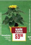 SLUNENICE