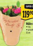 RَE MIX