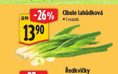 CIBULE LAHDKOV