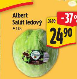 SALT LEDOV