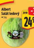 SALT LEDOV