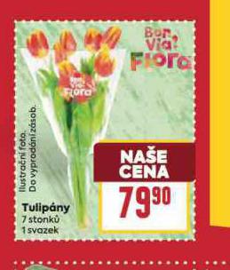 TULIPNY