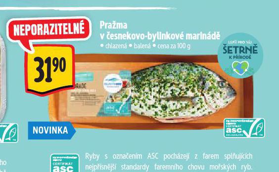 PRAMA V ESNEKOVO-BYLINKOV MARIND