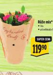 RَE MIX