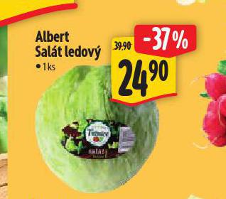 SALT LEDOV