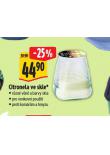 CITRONELA VE SKLE