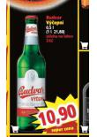 BUDVAR VEPN