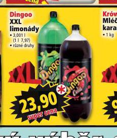DINGOO XX L LIMONDY