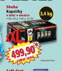 SHEBA KAPSIKY