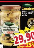 AMPIONY