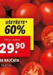 ROMA RAJATA