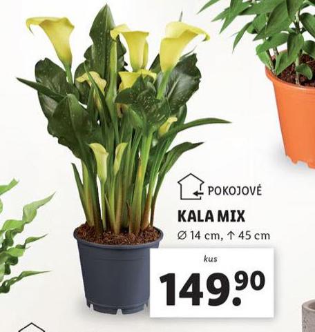 KALA MIX