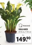 KALA MIX