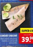 CANDT OBECN