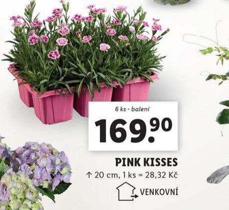PINK KISSES