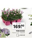 PINK KISSES