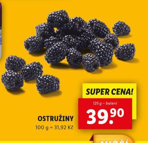 OSTRUINY