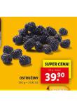 OSTRUINY