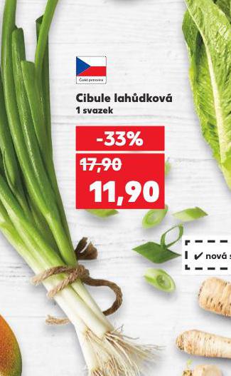 CIBULE LAHDKOV