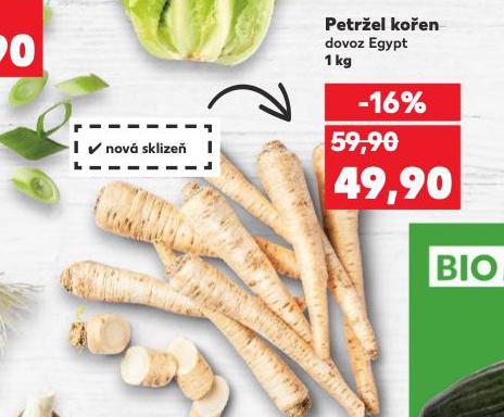 PETREL KOEN