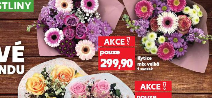 KYTI CE MIX VELK
