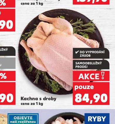KACHNA S DROBY