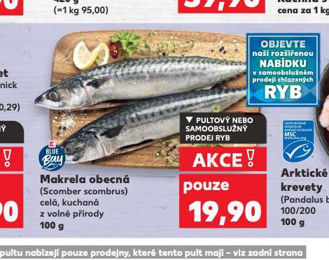MAKRELA OBECN
