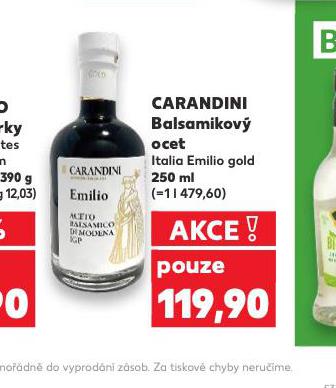 CARANDINI BASAMIKOV OCET