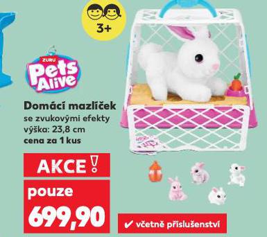 DOMC MAZLEK