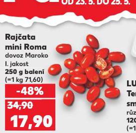 RAJATA MINI ROMA