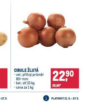 CIBULE LUT
