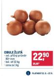 CIBULE LUT