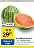 VODN MELOUN MINI