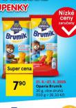 OPAVIA BRUMK