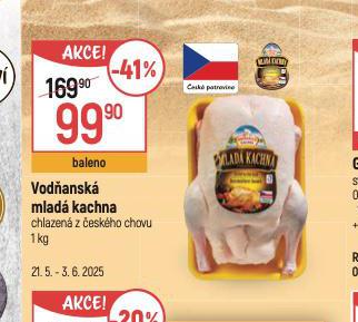 VODANSK MLAD KACHNA