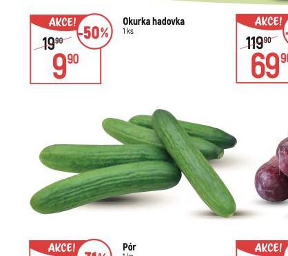 OKURKA HADOVKA
