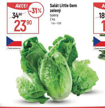 SALT LITTLE GEM ZELEN