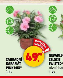 ZAHRADN KARAFIT PINK MIX