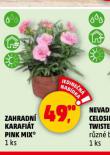 ZAHRADN KARAFIT PINK MIX