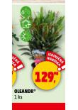 OLENADR