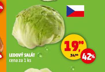 LEDOV SALT