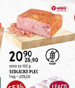 SEDLCK PLEC