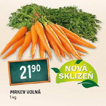 MRKEV VOLN